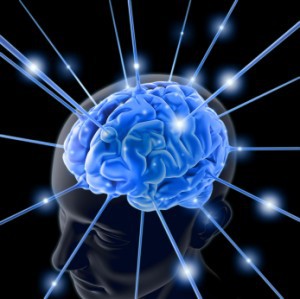 brainpower-300x299